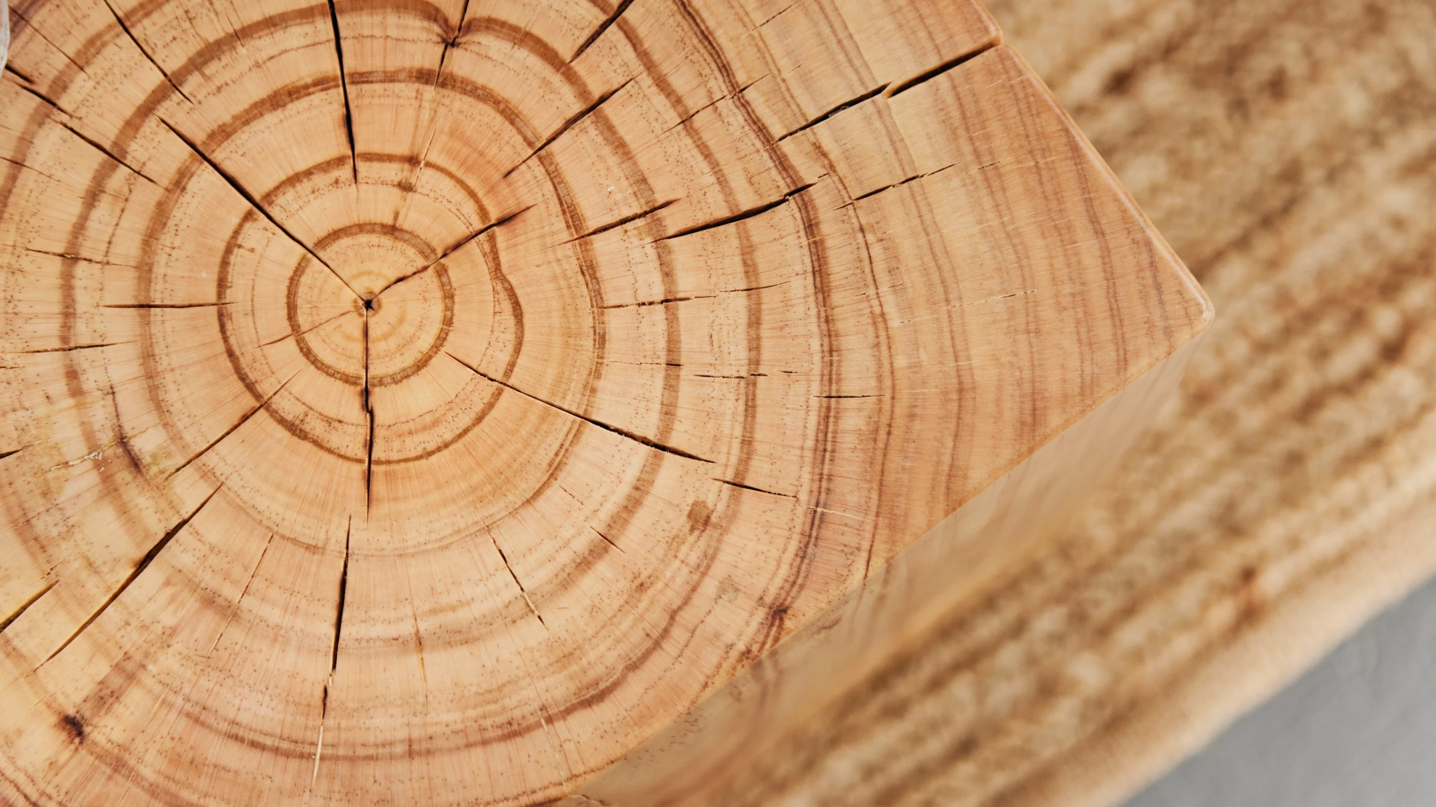 Amalfi Stool, Pine - Image 6