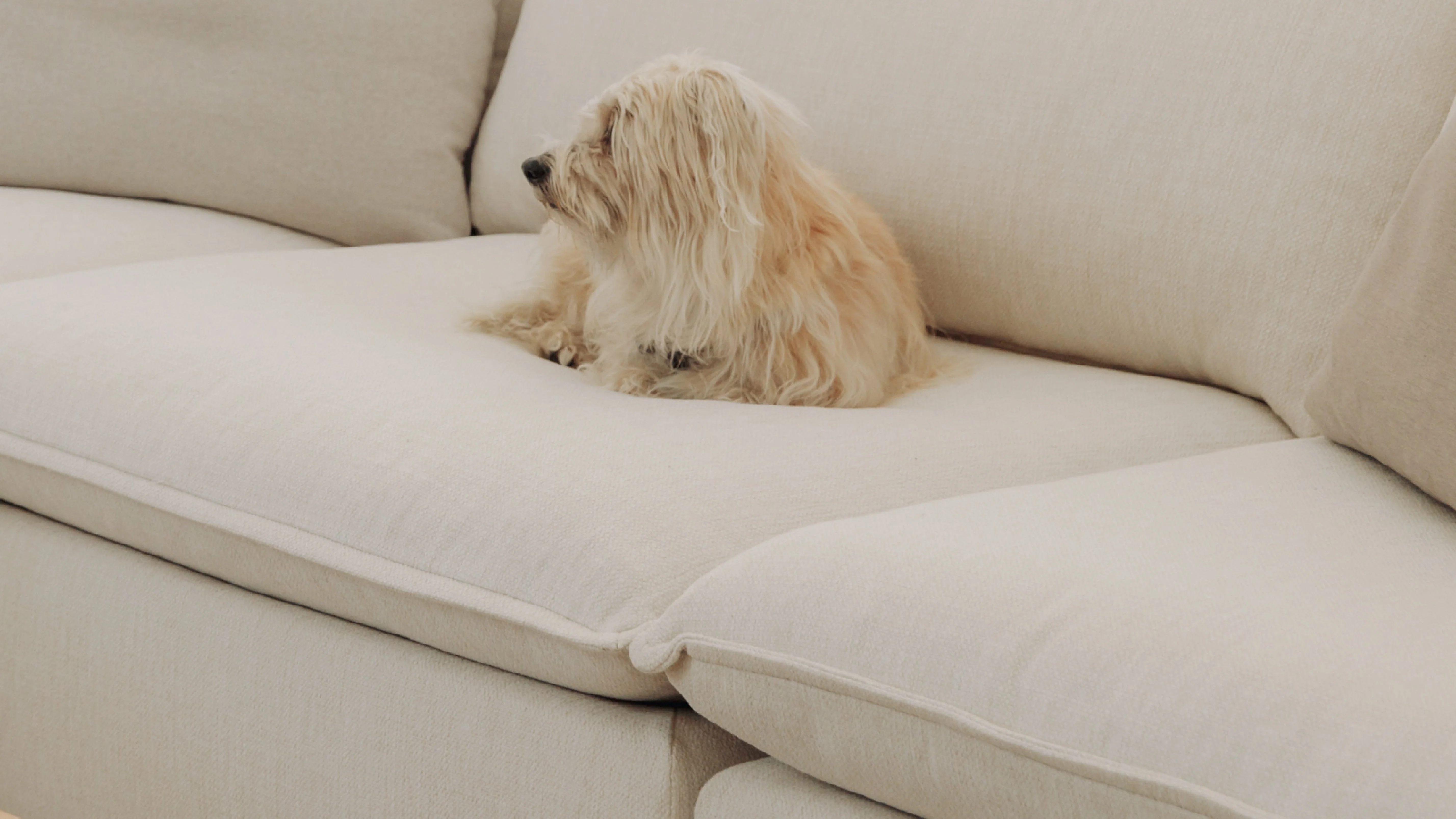 Chill Time 2-Piece Modular Sofa, Birch - Image 8