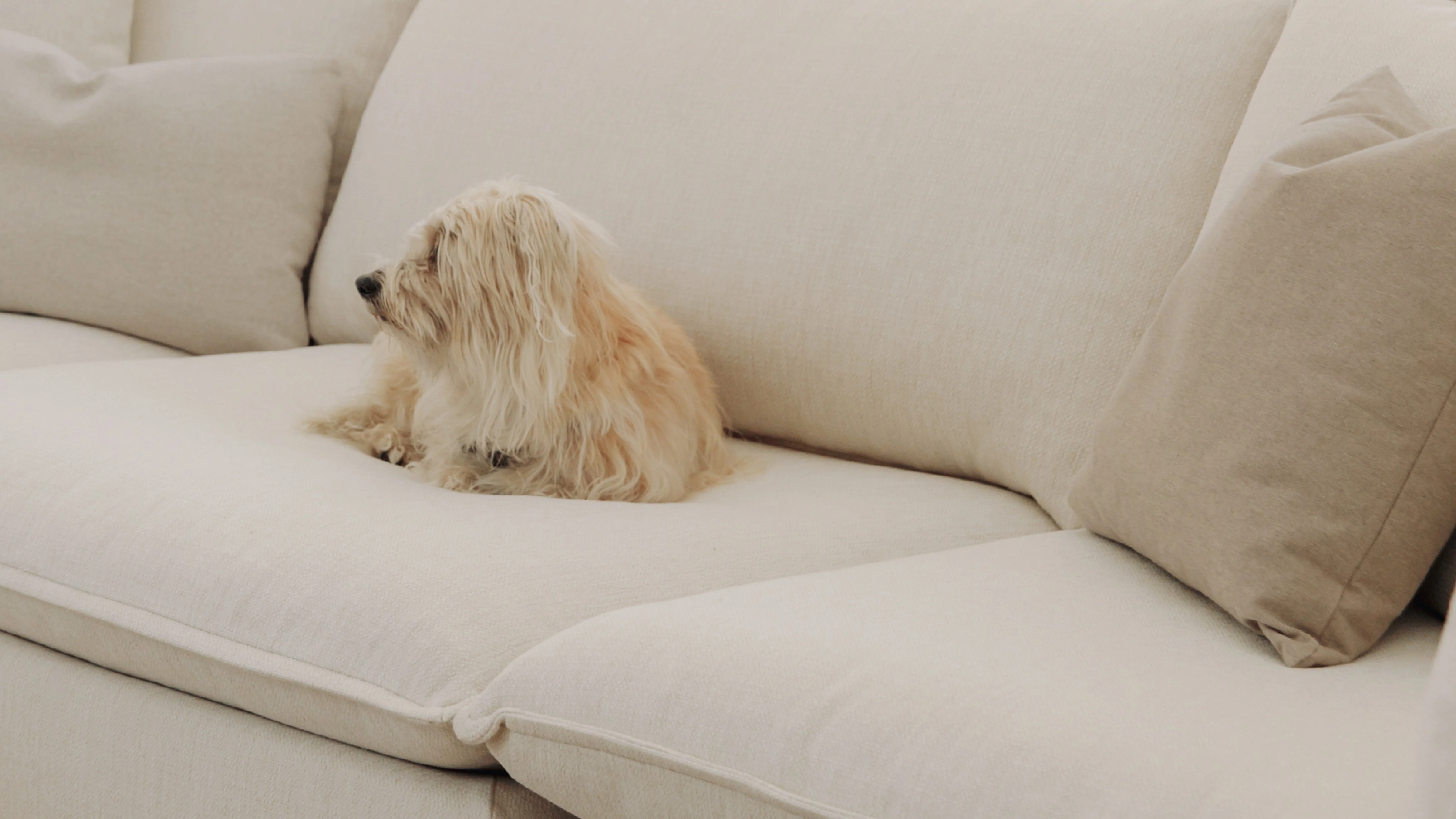 Chill Time 3-Piece Modular Sofa, Birch - Image 9