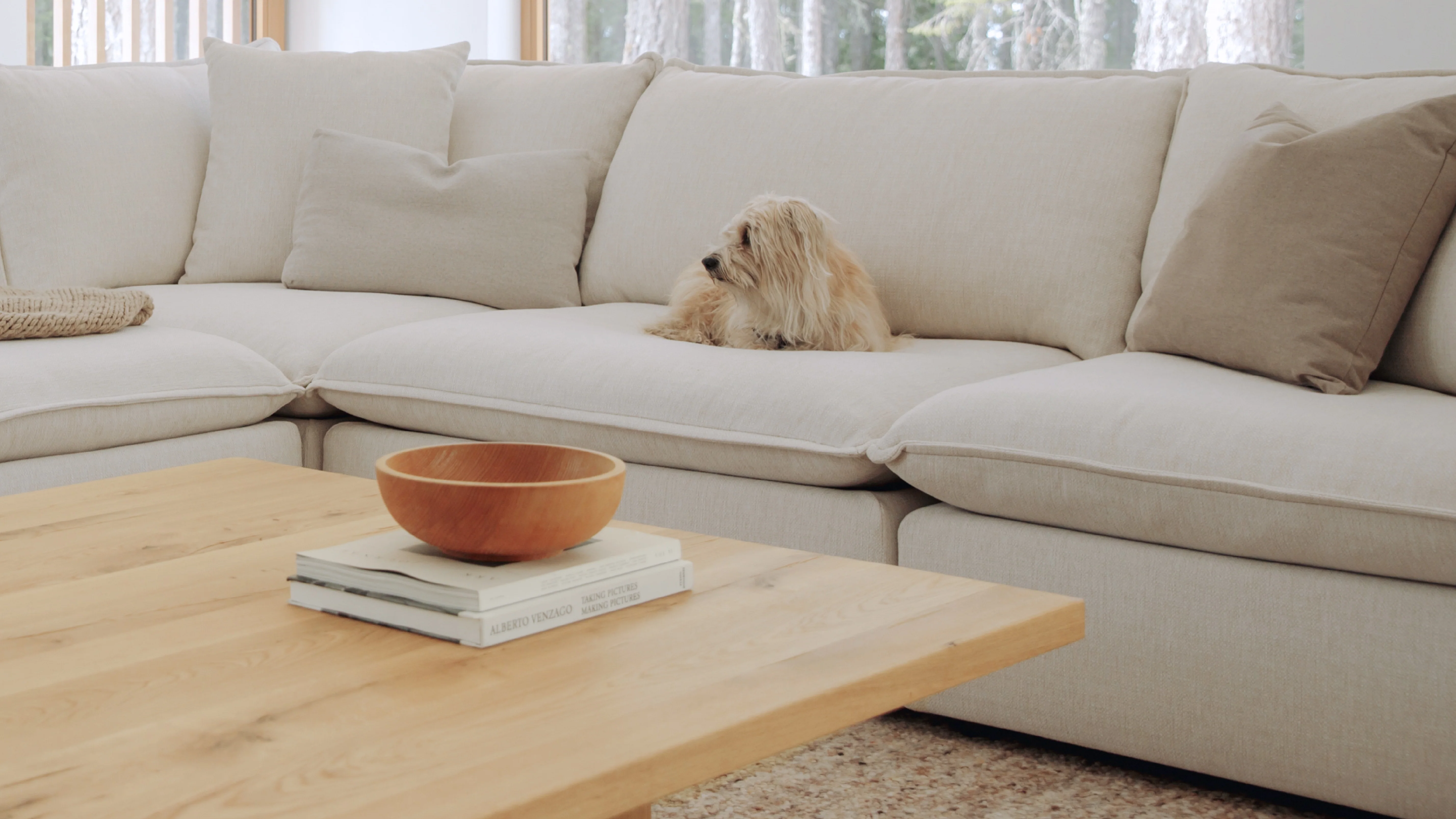 Chill Time 6-Piece Modular U-Shaped Sectional, Birch - Image 9