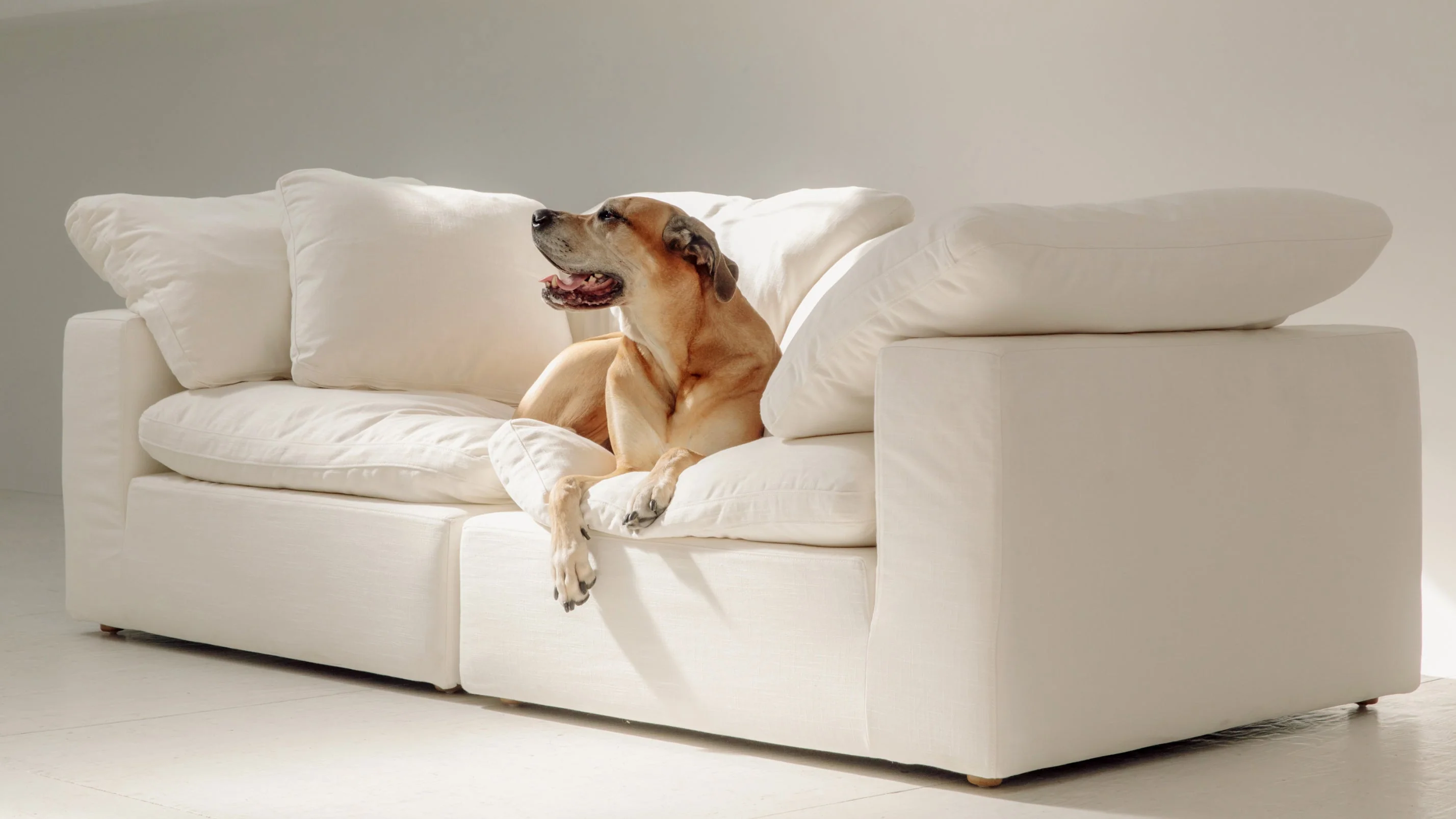 Movie Night™ 2-Piece Modular Sofa, Standard, Champagne - Image 8
